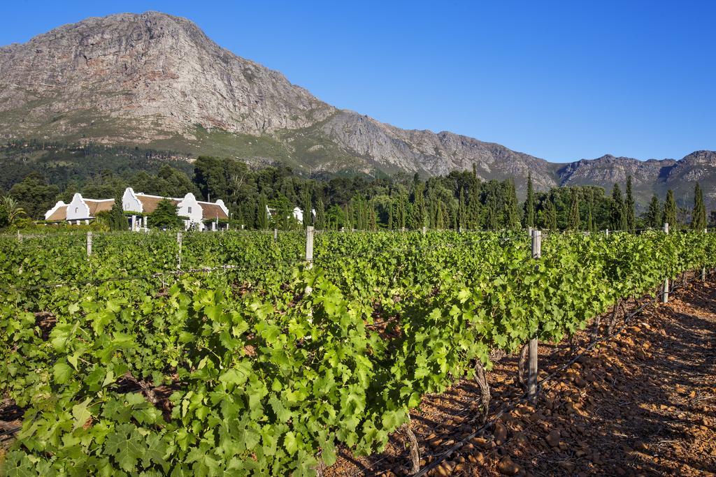 La Providence Hotel Franschhoek Exterior foto